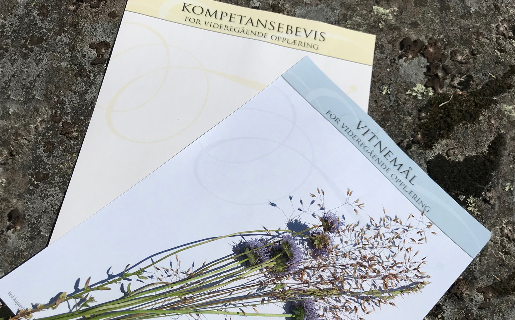 Kompetansebevis og vitnemål med blomster oppå