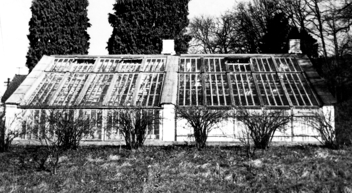 gammelt bilde av drivhus