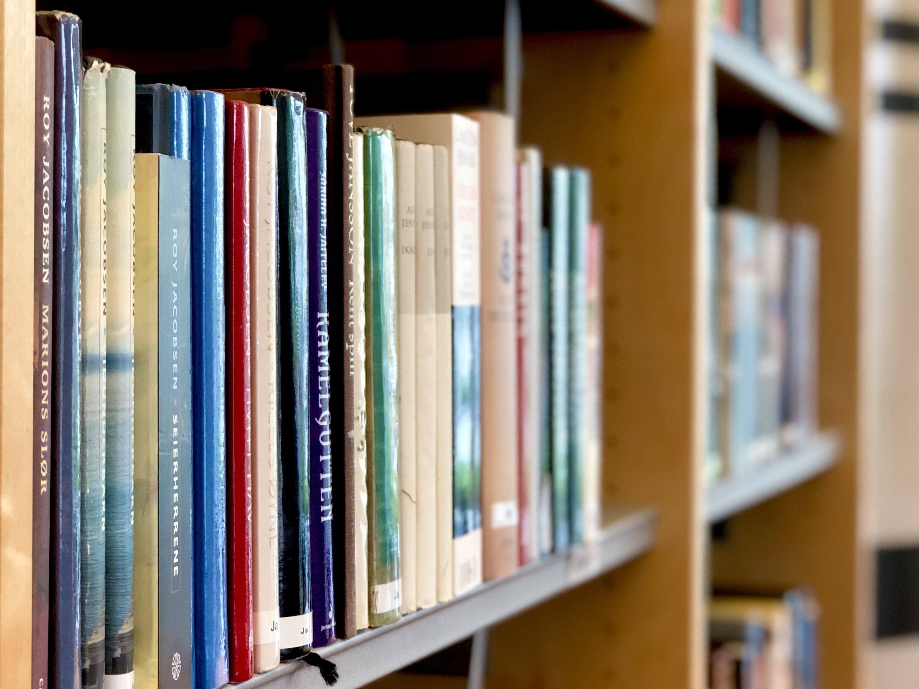 Rad med bøker i bokhylle