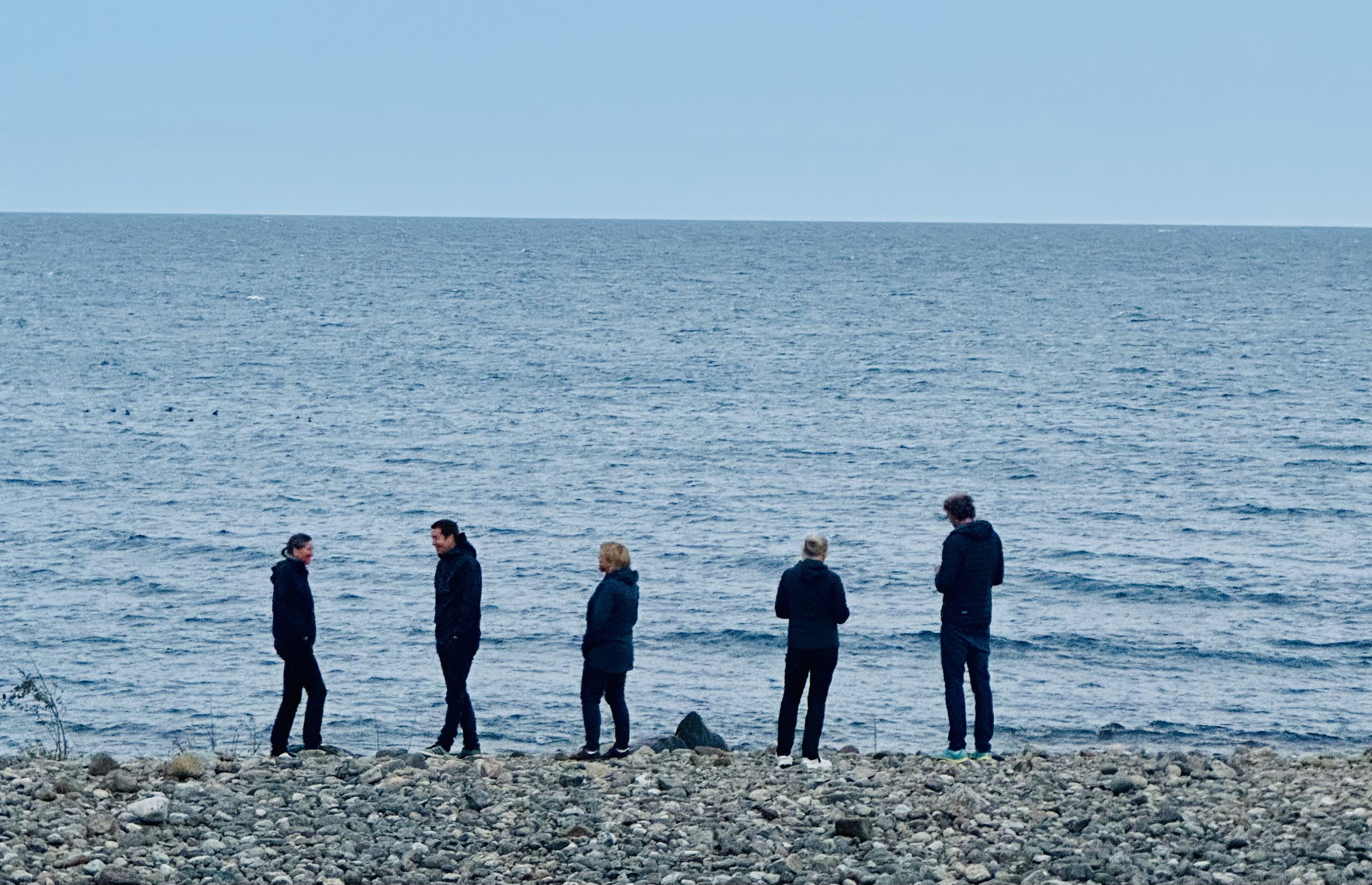 Fem personar står på ei steinstrand.