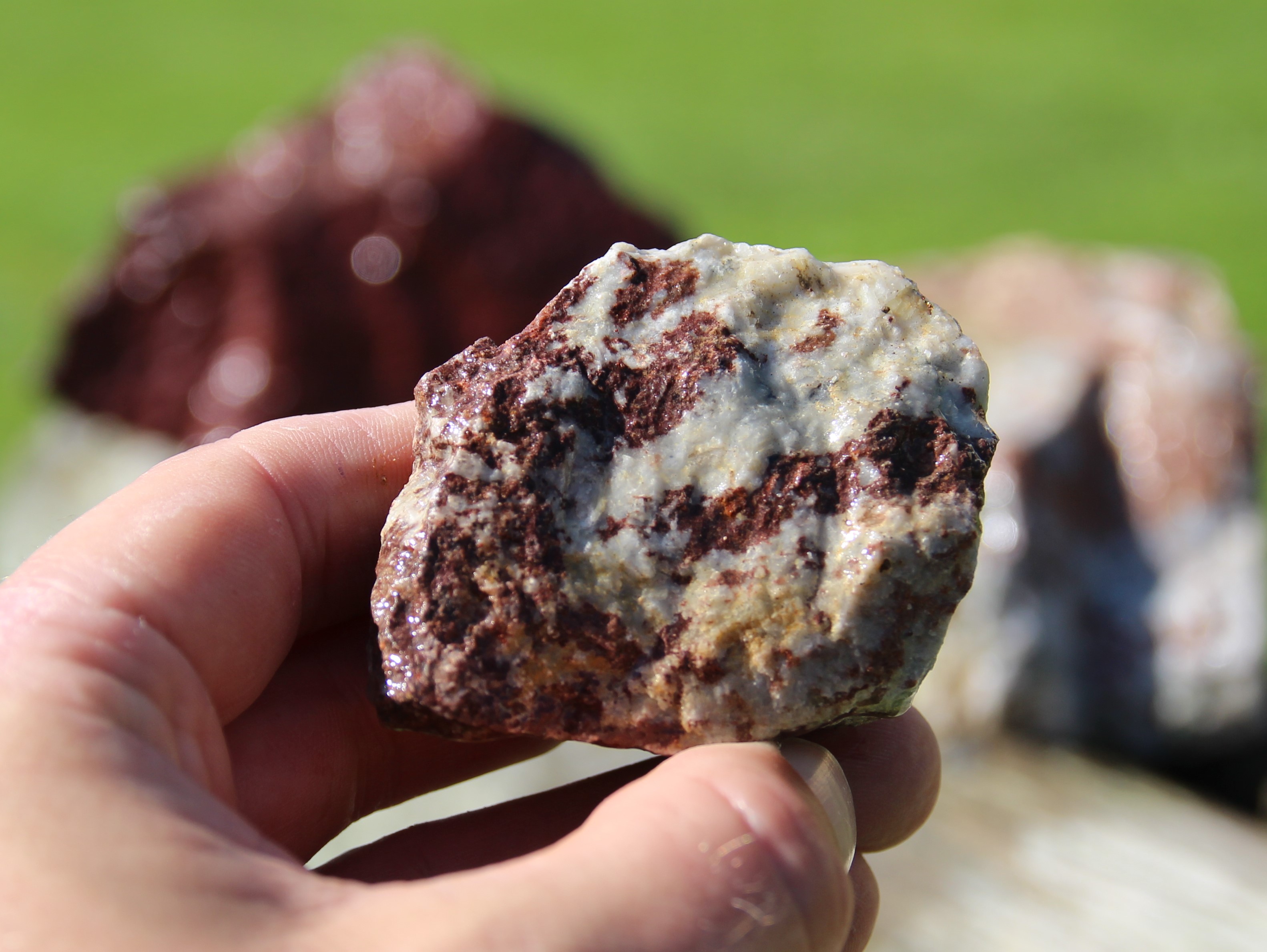 Nærbilde av en hånd som holder en stein med sjeldne jordadrter