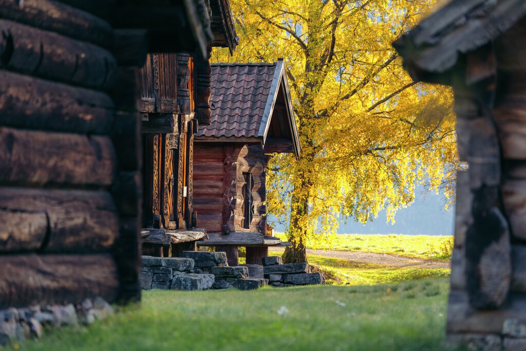 Bildet viser gamle hus og tre i høstfarger.